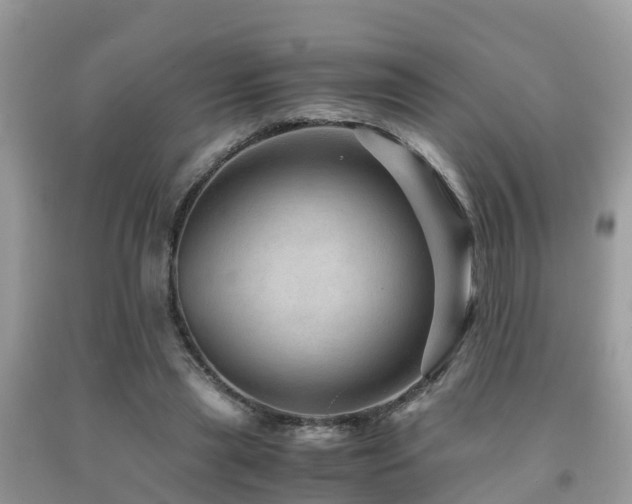 X0000091960445200709061305