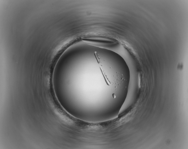 X0000091960446200709061305