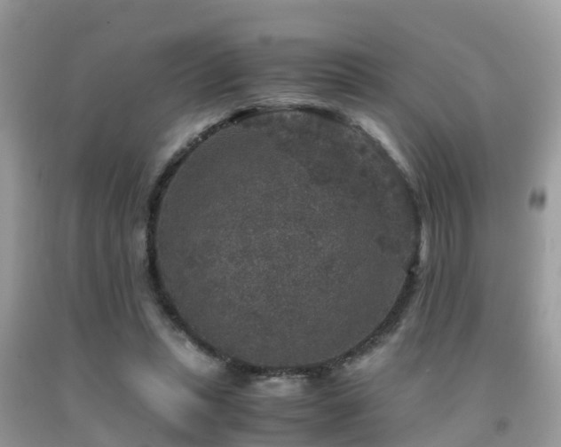 X0000091960447200709061305