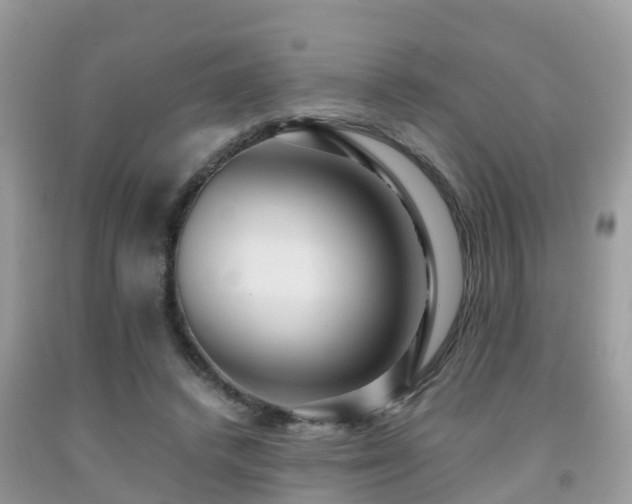 X0000091960448200709061305