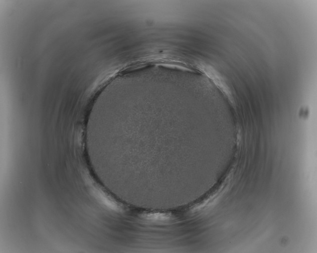 X0000091960449200709061305