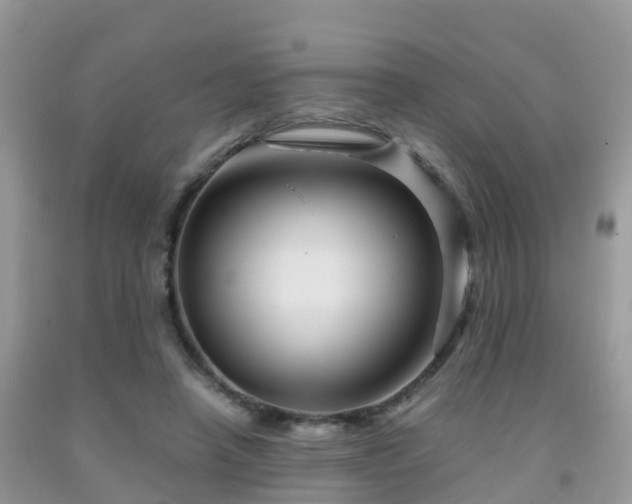 X0000091960450200709061305