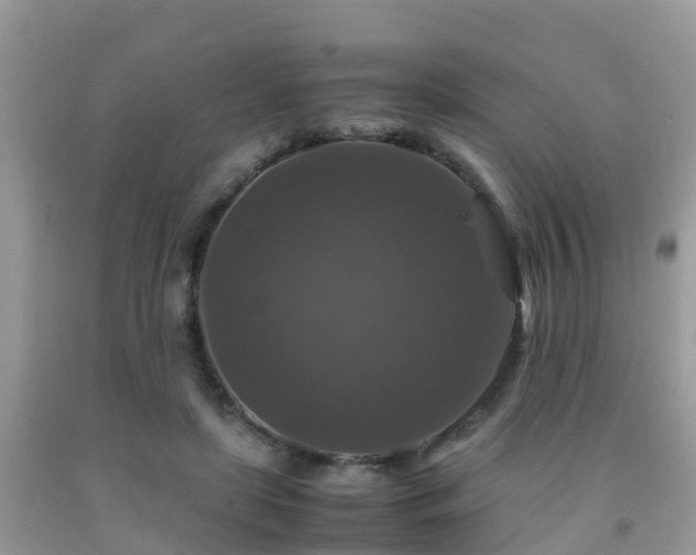 X0000091960451200709061305