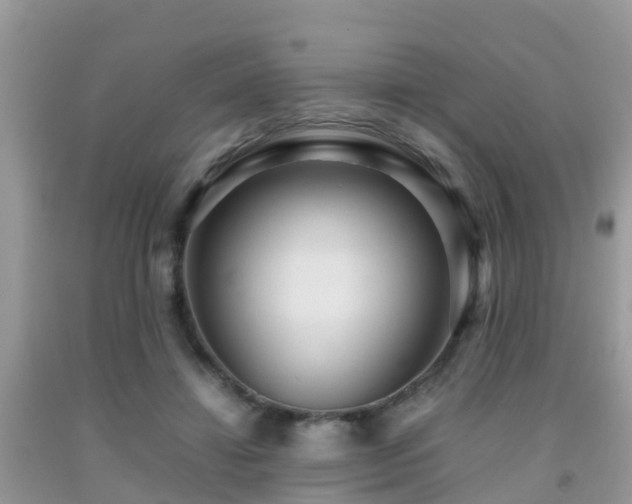 X0000091960452200709061305