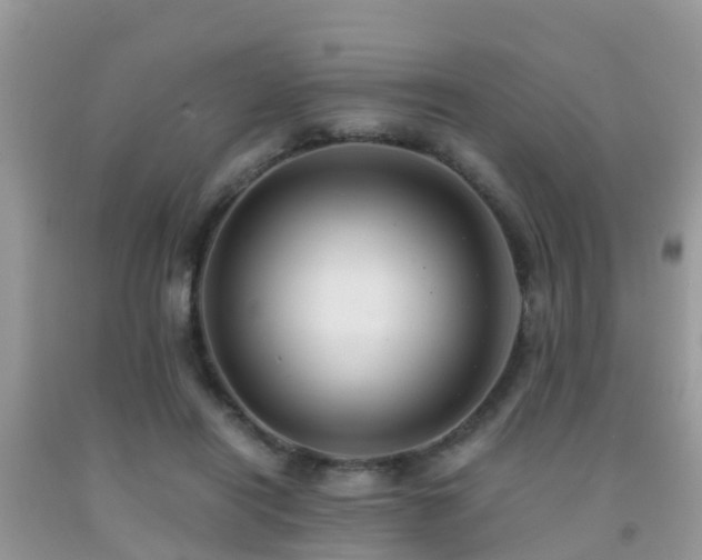 X0000091960454200709061305