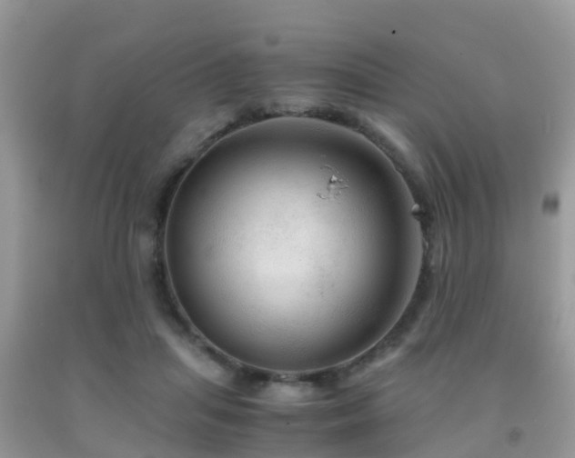 X0000091960455200709061305