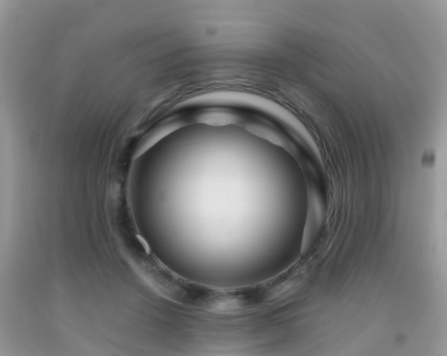 X0000091960456200709061305