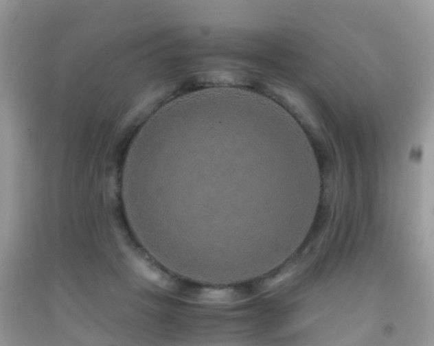 X0000091960457200709061305