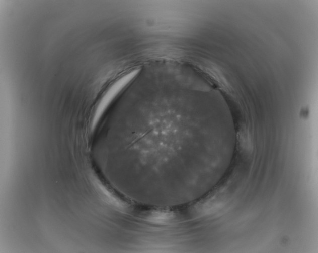 X0000091960458200709061305