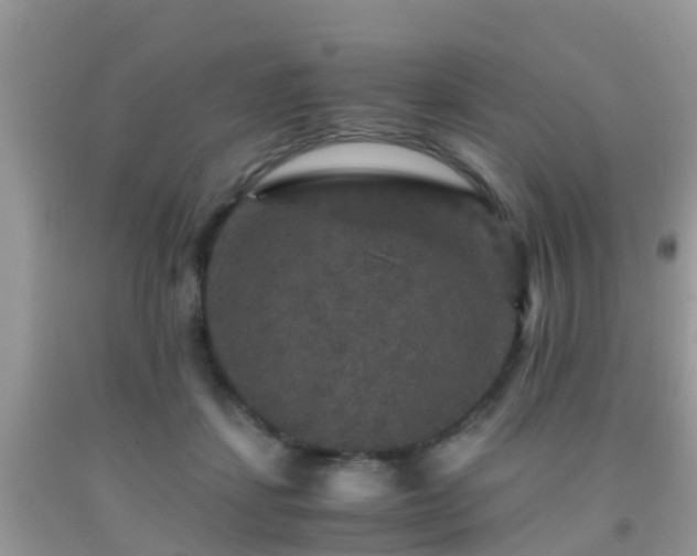 X0000091960459200709061305