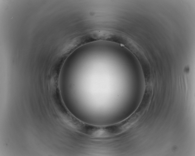 X0000091960460200709061305