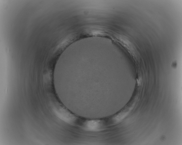 X0000091960461200709061305