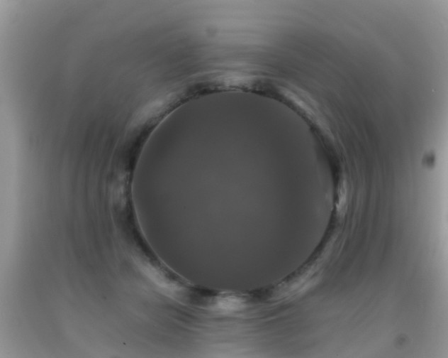 X0000091960462200709061305