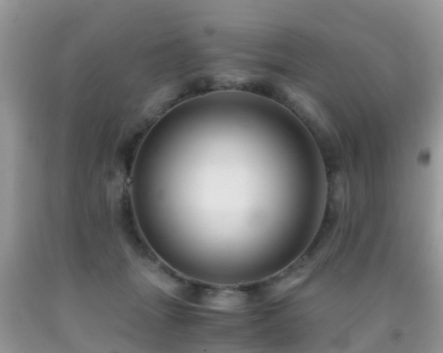 X0000091960463200709061305