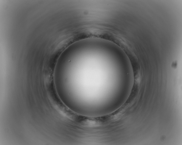 X0000091960464200709061305