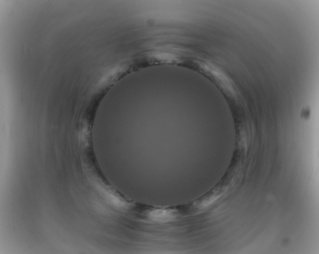 X0000091960465200709061305