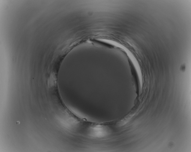 X0000091960467200709061305