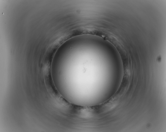 X0000091960468200709061305