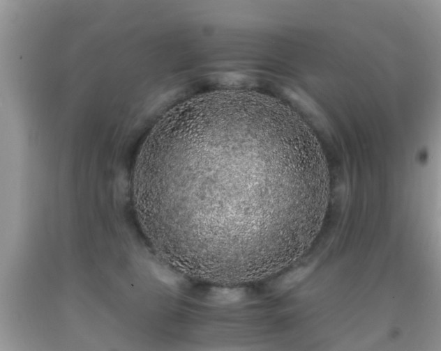 X0000091960469200709061305