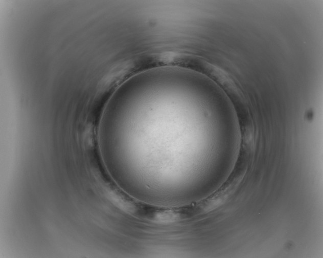 X0000091960470200709061305