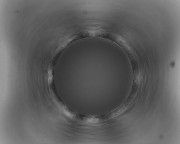 X0000091960471200709061305