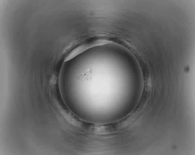 X0000091960472200709061305