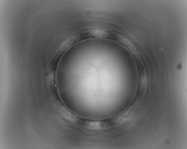 X0000091960473200709061305