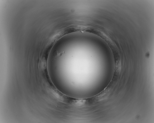 X0000091960474200709061305