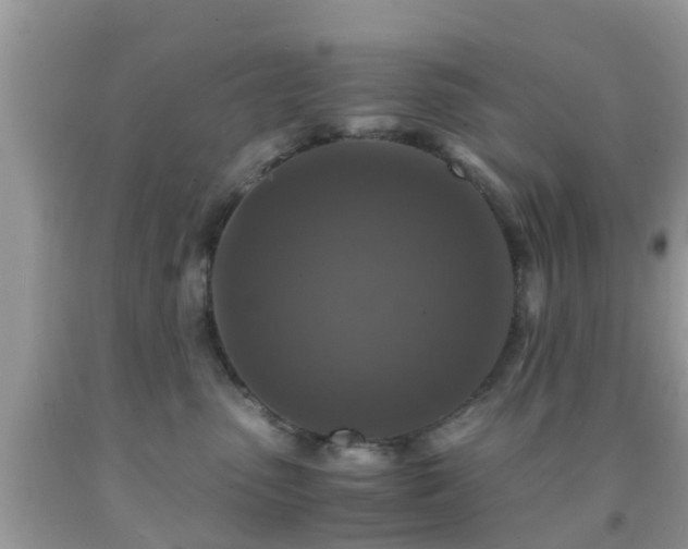 X0000091960475200709061305