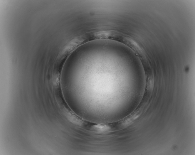 X0000091960477200709061305