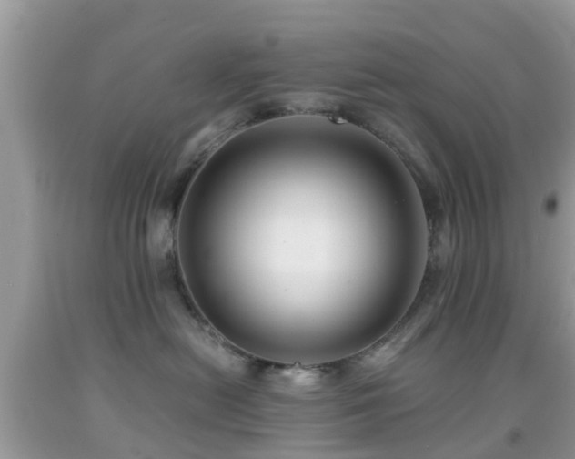 X0000091960478200709061305