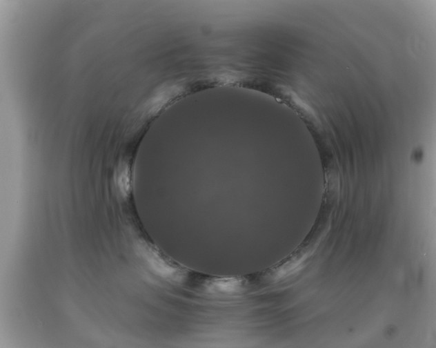 X0000091960479200709061305