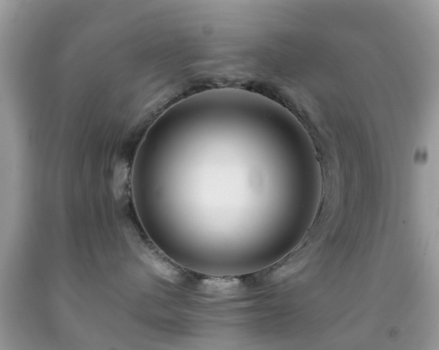 X0000091960480200709061305