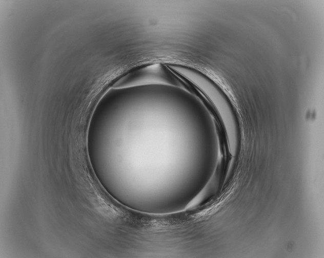 X0000091960481200709061305