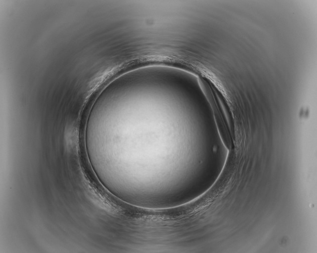 X0000091960482200709061304