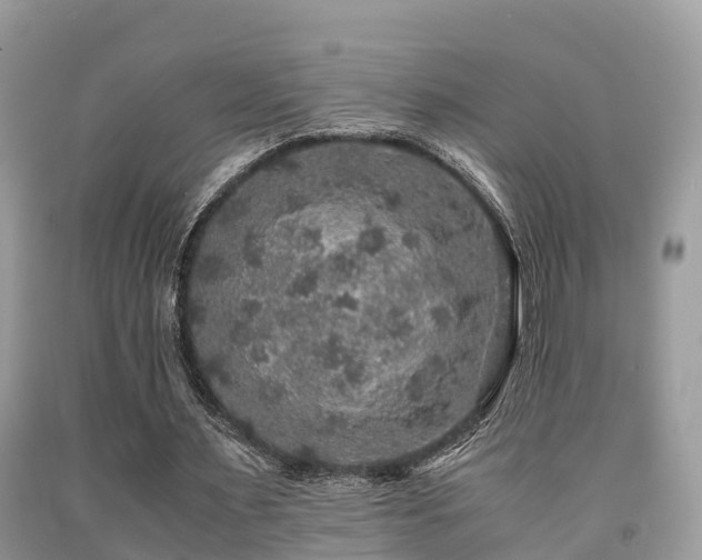 X0000091960483200709061304