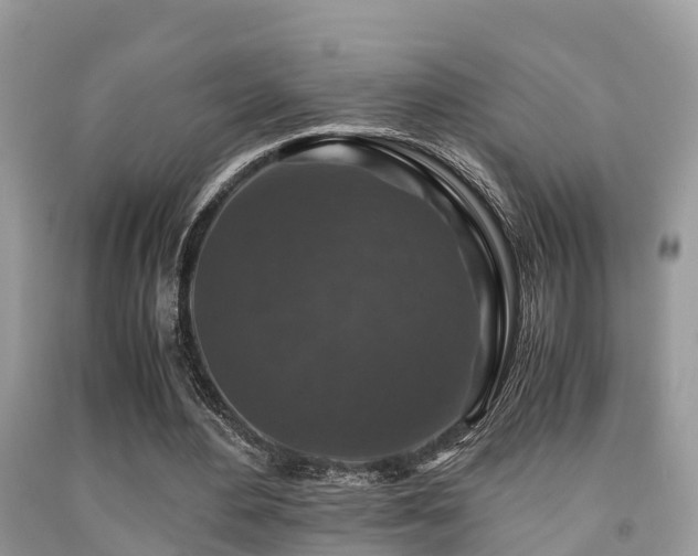 X0000091960484200709061304