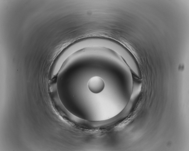 X0000091960485200709061304