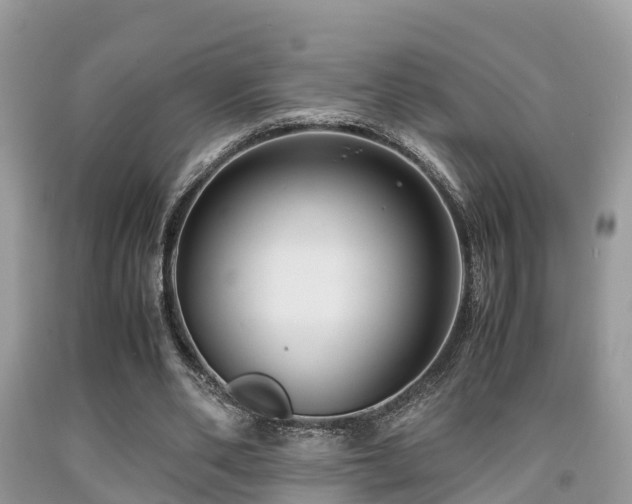 X0000091960486200709061304