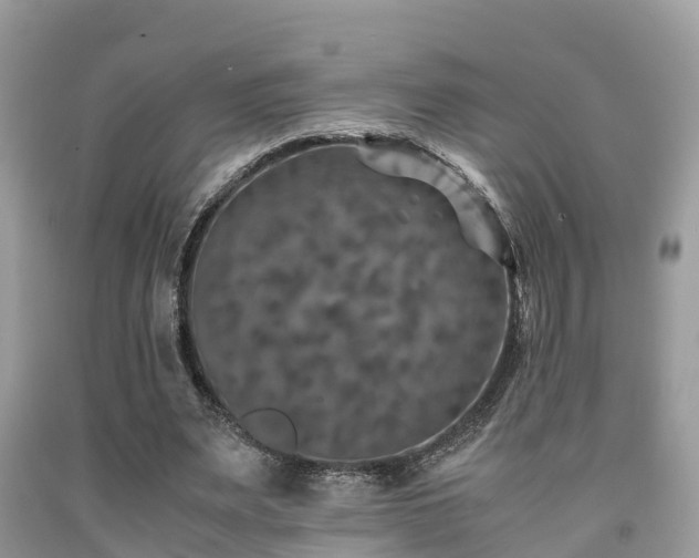 X0000091960487200709061304