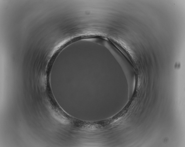 X0000091960488200709061304