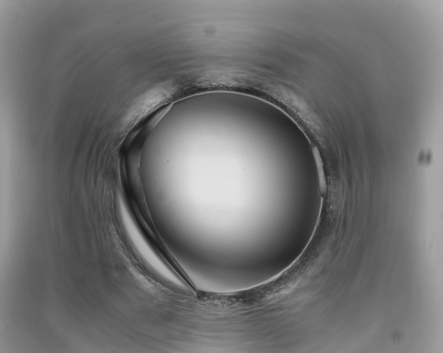 X0000091960489200709061304