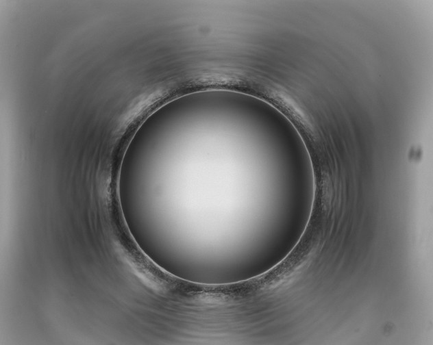 X0000091960490200709061304