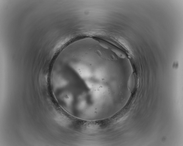 X0000091960491200709061304