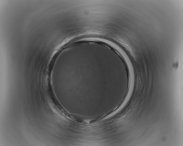 X0000091960492200709061304