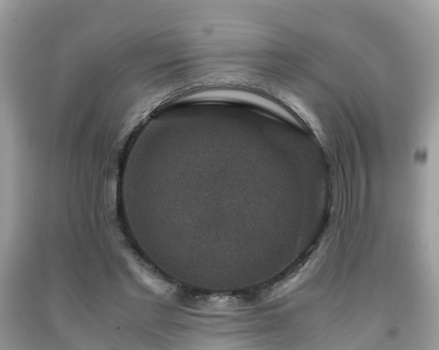 X0000091960493200709061304