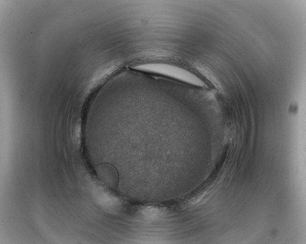 X0000091960494200709061304