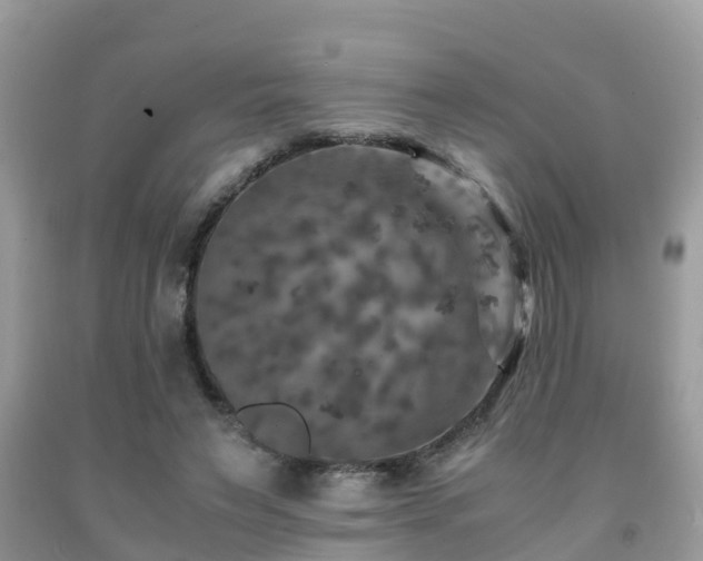 X0000091960495200709061304