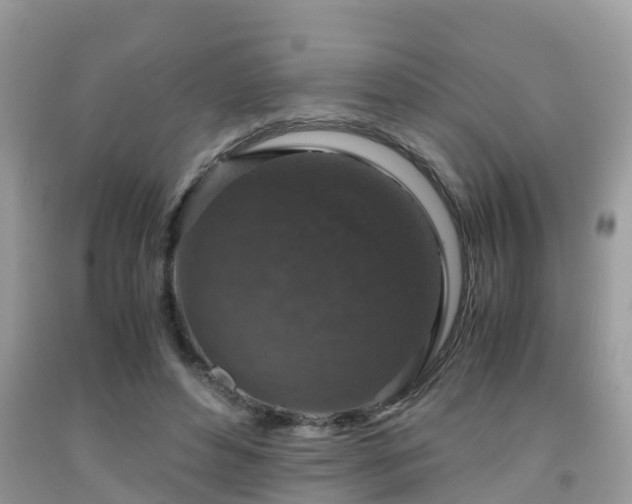 X0000091960496200709061304