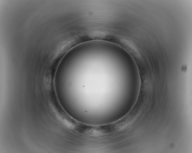 X0000091960498200709061304